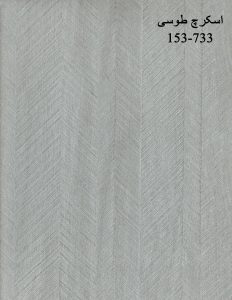 اسکرچ-طوسی